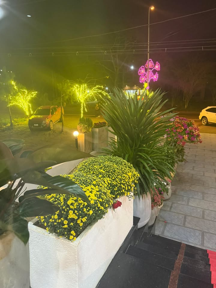 Đất nền Măng Đen, Kon Tum 1000m² giá 800 triệu - Cơ hội đầu tư hiếm có!