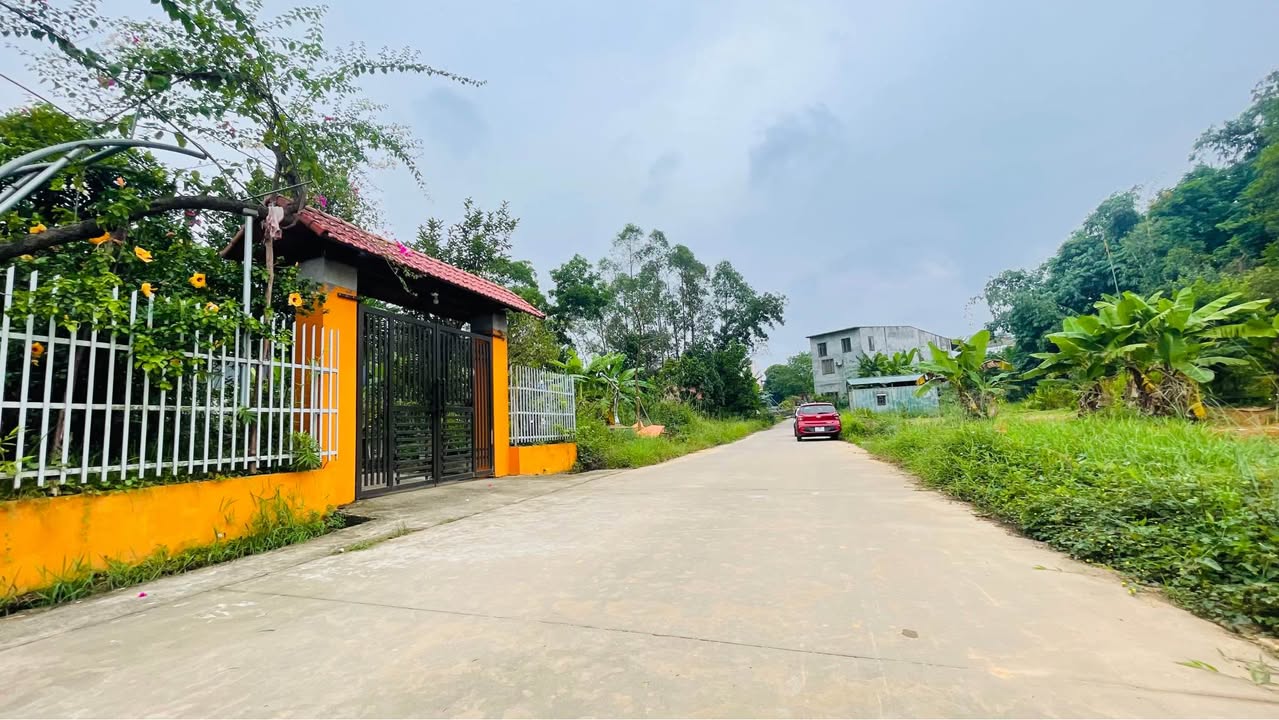 Đất thổ cư Khu Đồi Quăn, Xã Phù Ninh 168m² - Cơ hội đầu tư tuyệt vời!