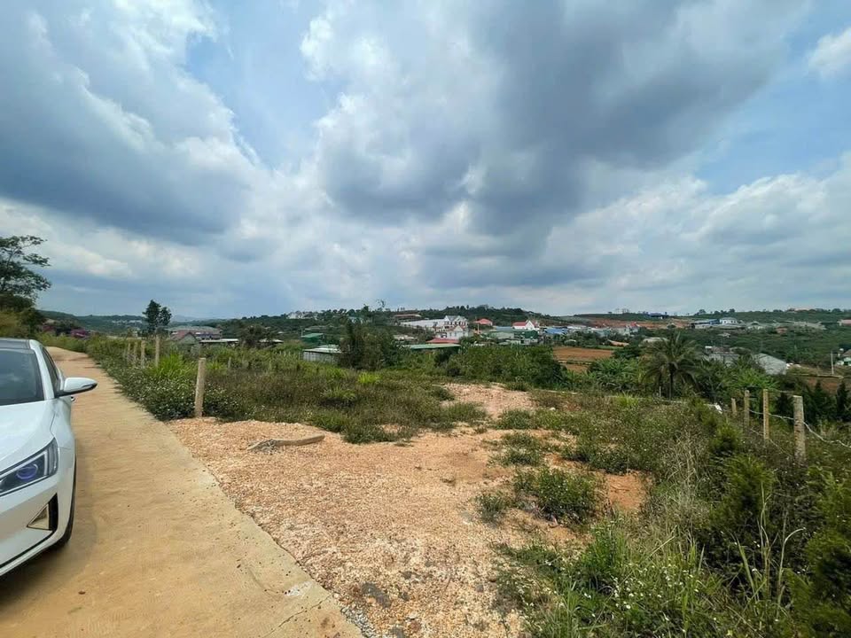 Đất nền xã Nam Hà, Lâm Hà 3000m² - Mặt tiền 45m - Đầu tư sinh lời ngay!