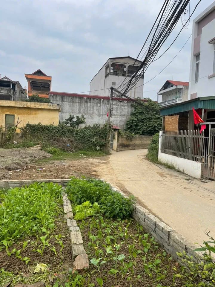 Đất nền Nguyễn Thái Học 70m² giá 900 triệu - Chính chủ bán gấp!