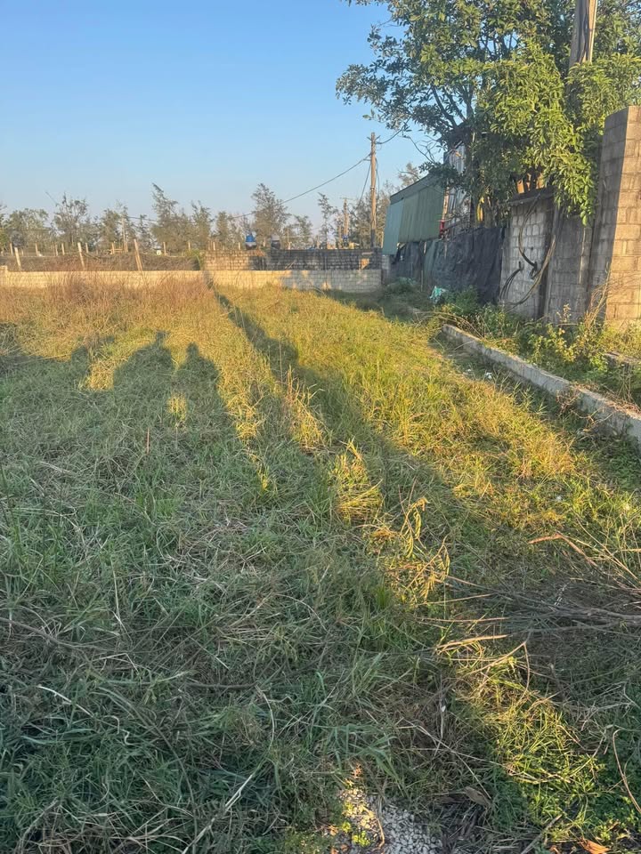 Đất nền Ecopark Xuân Phổ 161m² giá tốt - Cơ hội đầu tư hấp dẫn!