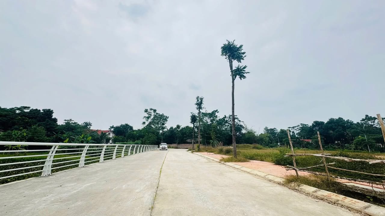 Đất nền Bàn Giản Lập Thạch 171m² giá 10 triệu/m² - Đầu tư sinh lời ngay!