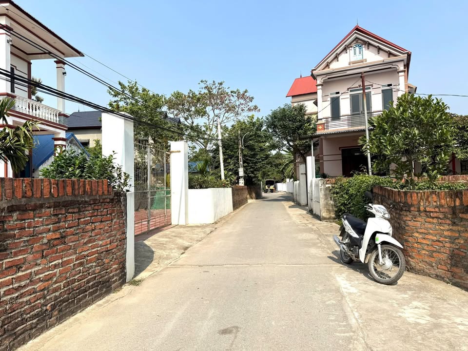 Đất thổ cư Bảo Phác, Tam Đảo 156m² - Đầu tư sinh lời lớn!