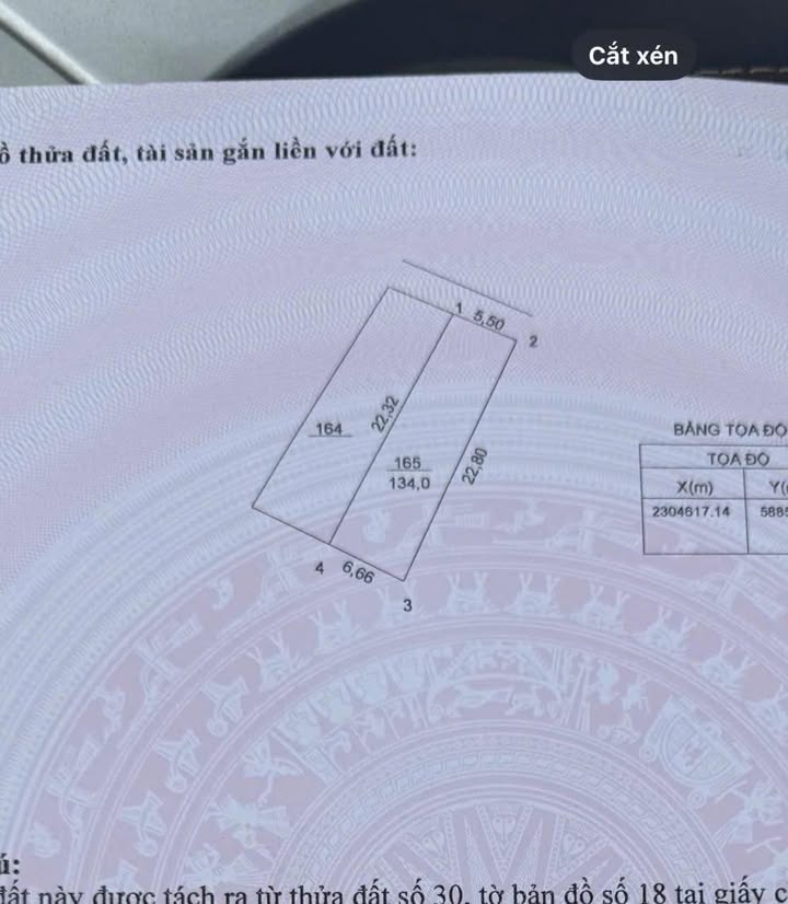 Đất nền Thượng Phúc 134m² giá 6.3 tỷ - Cơ hội đầu tư tuyệt vời!