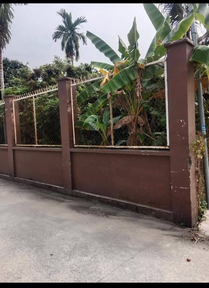 Đất vườn 2 mặt tiền Hưng Định 04, 126m² giá 7.5 tỷ - Cơ hội đầu tư tuyệt vời!