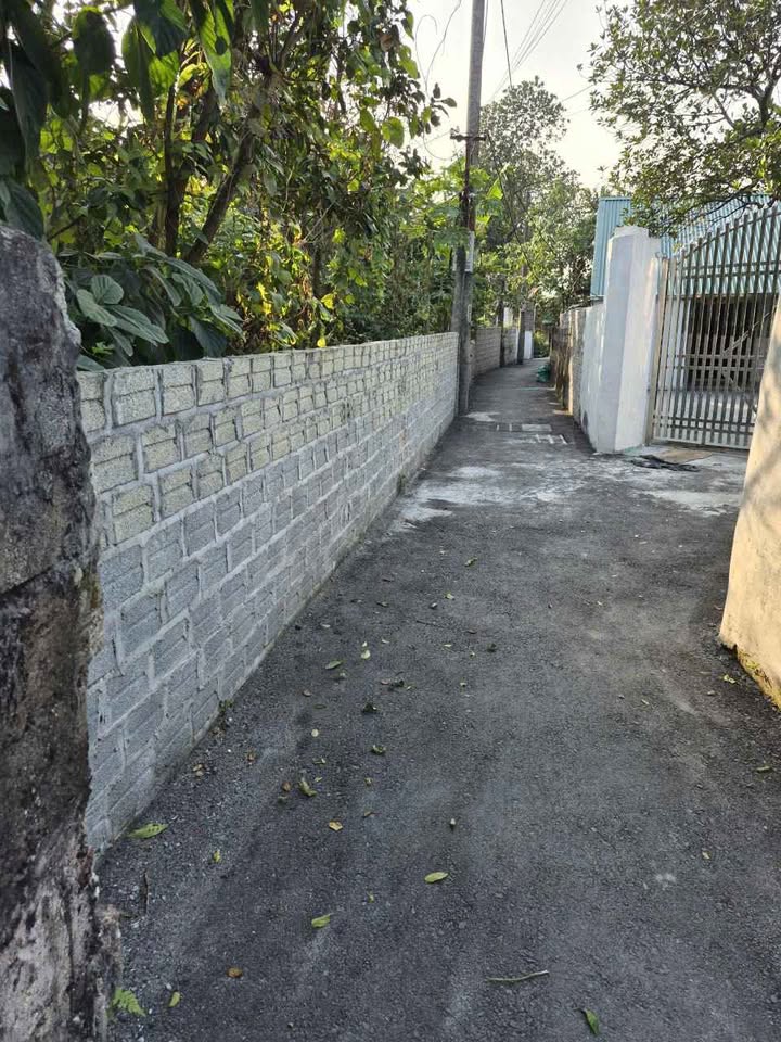 Đất nền tổ 1, Phường Thanh Tuyền, 278m² giá 1.1 tỷ - Cơ hội đầu tư hấp dẫn!