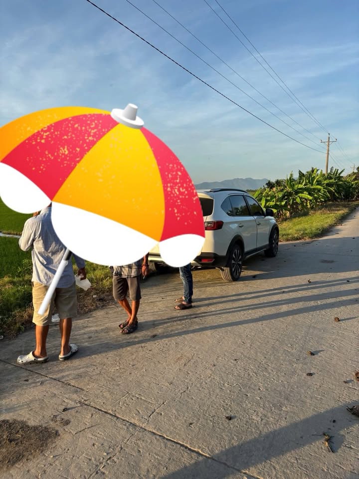 Đất nông nghiệp 300 công tại Xã Bình Sơn, Hòn Đất - Giá chỉ 43.5 tỷ!