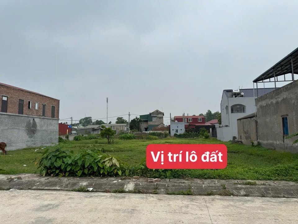 Đất nền khu đấu giá Tế Cát, Đức Lý, 140m² giá chỉ 2 tỷ - Cơ hội đầu tư hấp dẫn!