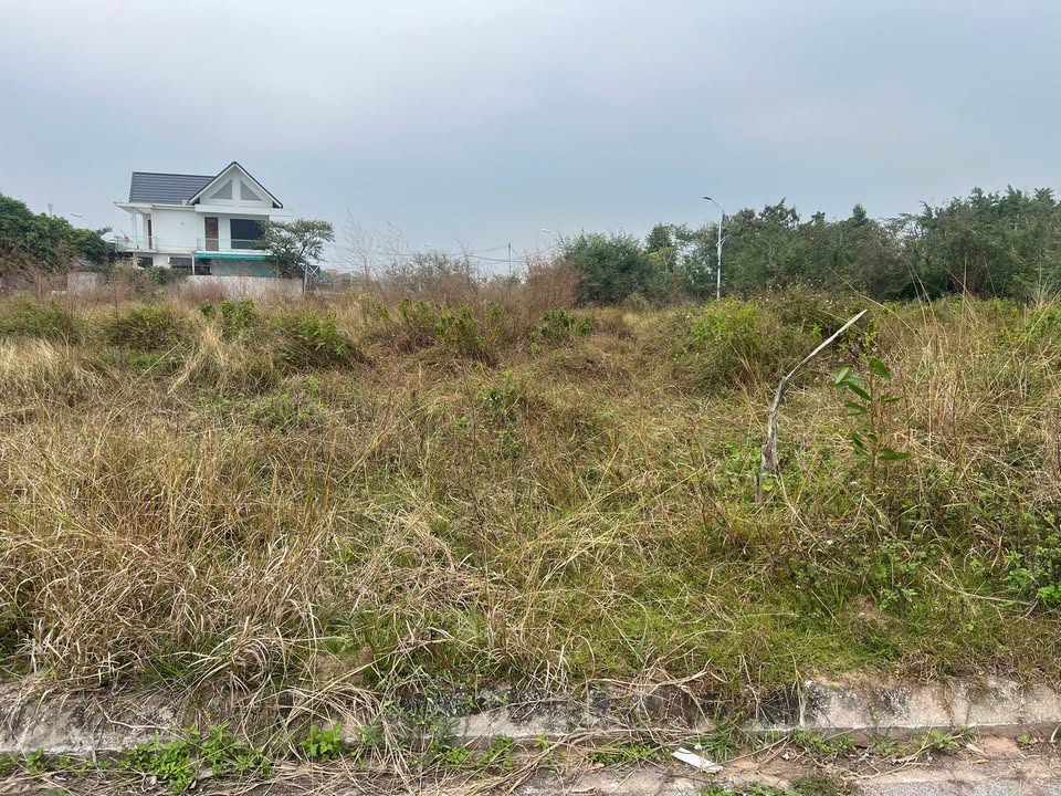 Đất nền Phượng Hoàng Móng Cái 327m² giá chỉ 1.x triệu - Cơ hội đầu tư tuyệt vời!