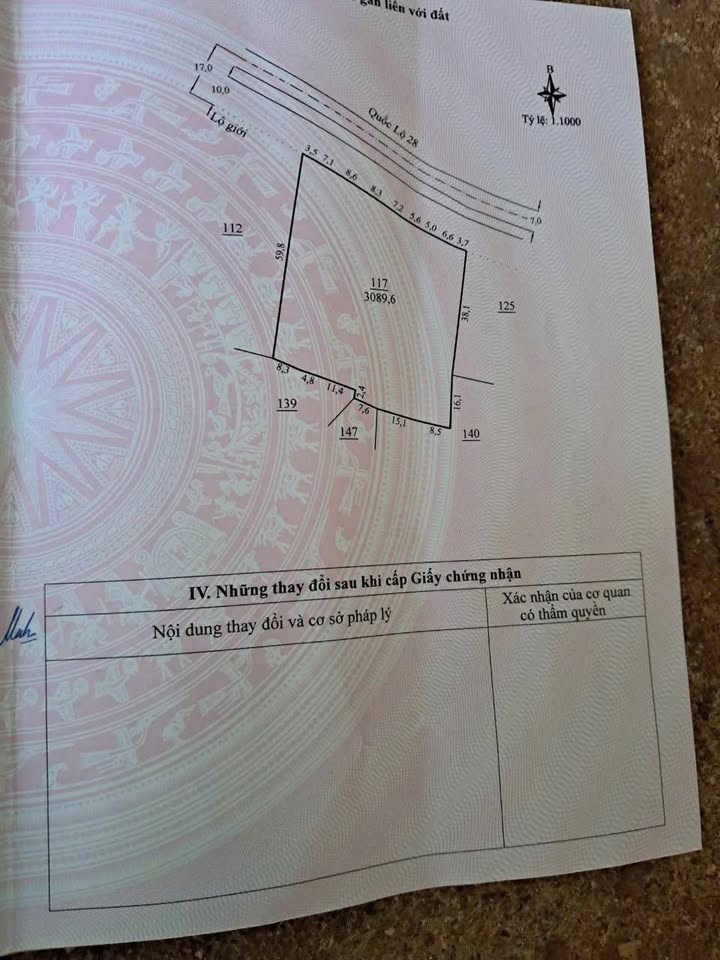 Đất nền mặt tiền Quốc lộ 28, xã Tân Thượng, 3089.6m² - Cơ hội đầu tư tuyệt vời