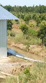 Đất vườn 7500m² tại Cái Bè - Giá chỉ 360 triệu - Cơ hội đầu tư tuyệt vời!