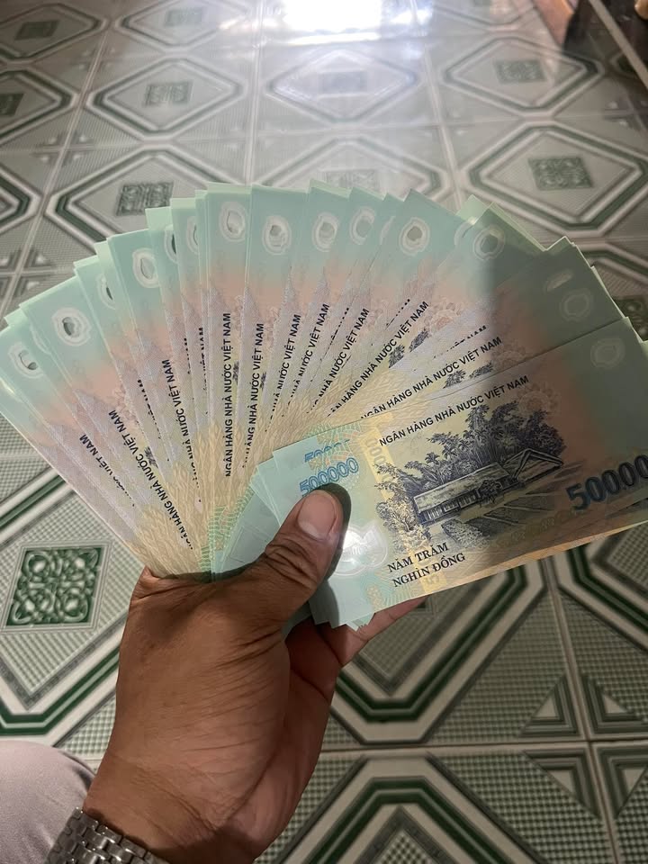 Đất nền 4 nền liền kề tại Cai Lậy 100m² giá 650 triệu - Tiềm năng đầu tư lớn!