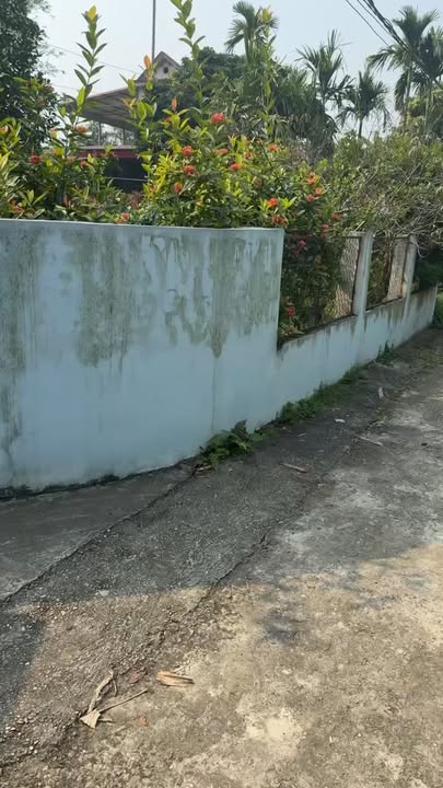 Đất nền Hanh Cù Thanh Ba 220m² - Sổ hồng đầy đủ, xây dựng ngay!