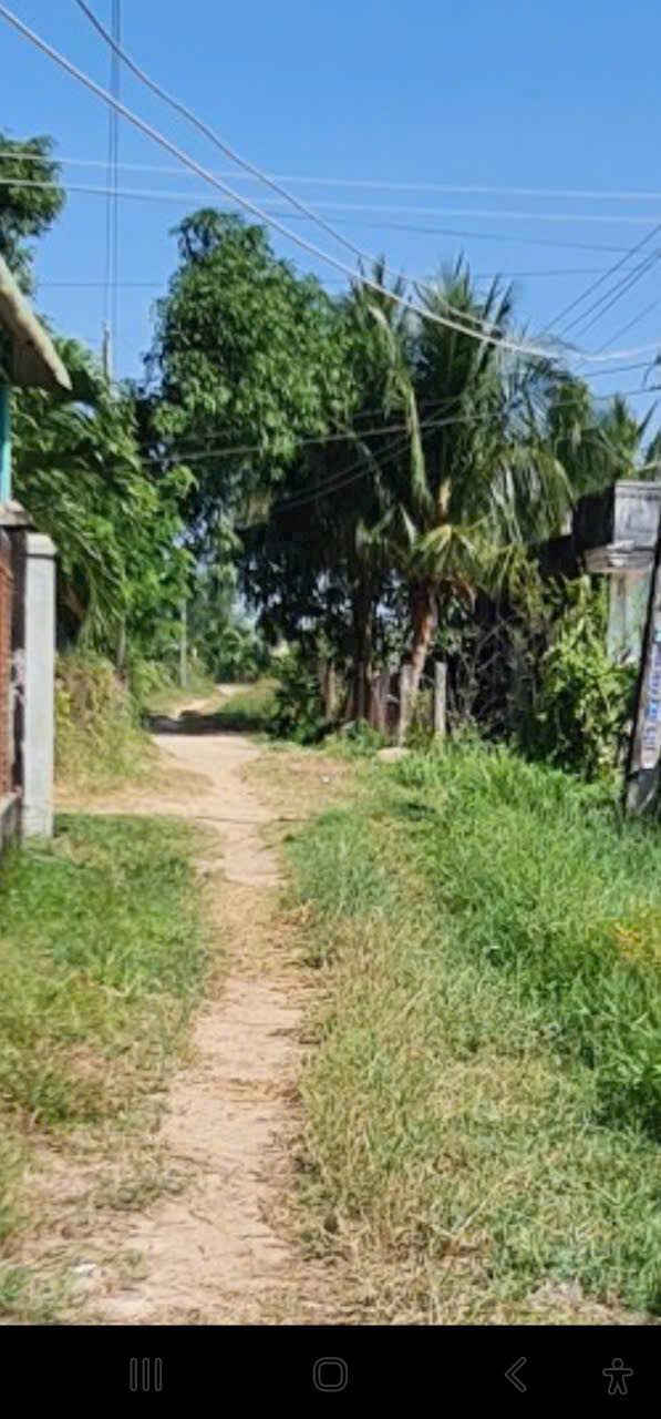 Đất lúa Thuận Điền Lâm Hà 3600m² giá 850 triệu - Sổ riêng chính chủ!