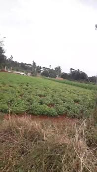 Đất nền Xã Cư M'gar 715m² giá 1.2 tỷ - Gần quốc lộ 26, thuận tiện giao thông!