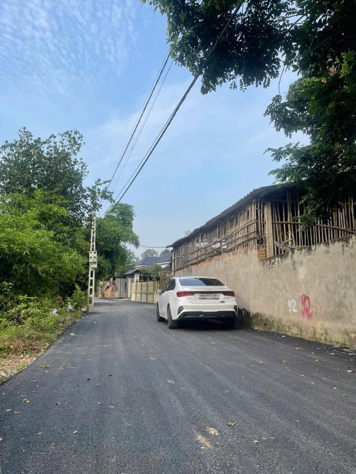 Đất Thị Trấn Hợp Hòa, Tam Dương 100m² giá 900 triệu - Đường ô tô tránh nhau, đầu tư sinh lời!