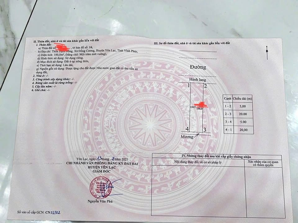 Đất đấu giá Dịch Vọng, Yên Lạc 100m² giá chỉ 27 tỷ - Đầu tư sinh lời nhanh!