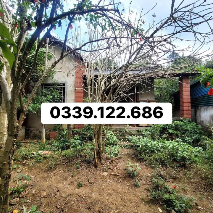 Đất ở Sông Bằng, Trùng Khánh 321m² giá 1 tỷ - Cơ hội đầu tư tuyệt vời!