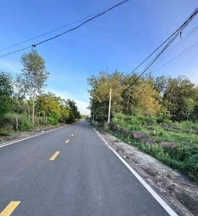 Đất nền hẻm nhựa nhà nghỉ Tân Khai, Bình Phước 2500m² giá 790 triệu - Cơ hội đầu tư hấp dẫn!