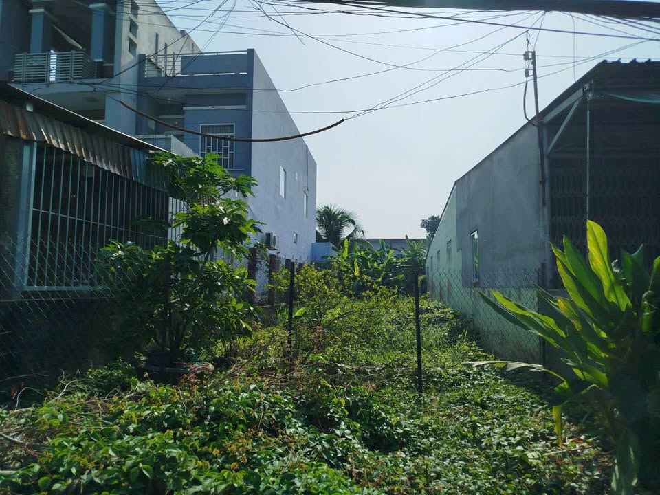 Đất thổ cư 324m² tại mặt QL1A, P4 Tân An - Giá chỉ 4.2 tỷ!