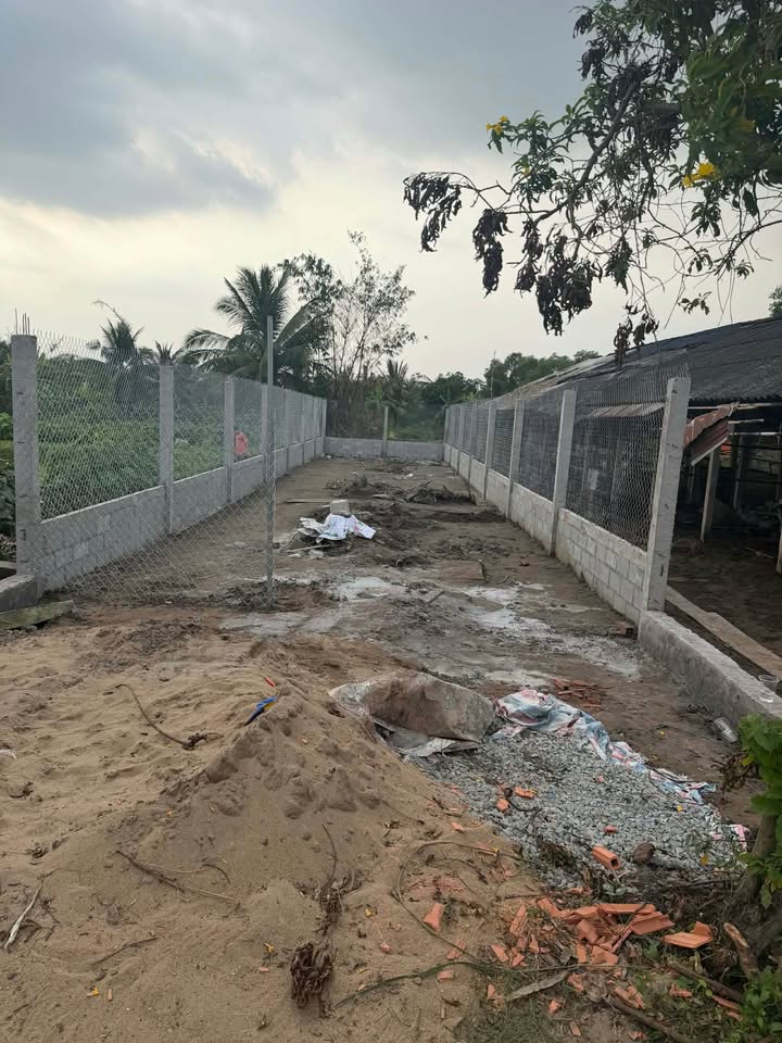 Đất mặt tiền Nguyễn Kim Công, Phường 4, Long An 186m² giá 2.5 tỷ - Đầu tư sinh lời ngay!