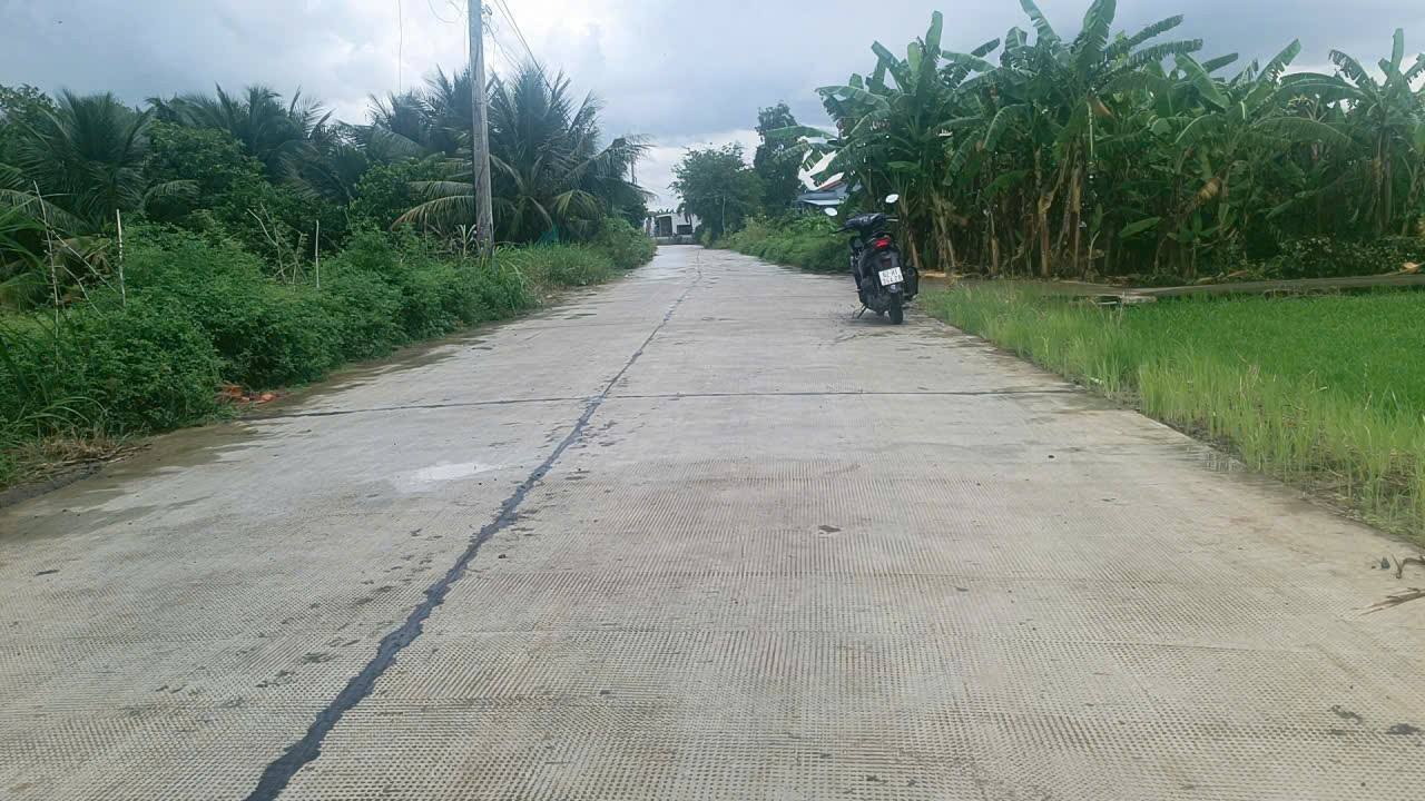 Đất nền thổ cư Nguyễn Văn Vịnh, Tân Trụ, 125m² chỉ 599 triệu - Đầu tư sinh lời ngay!