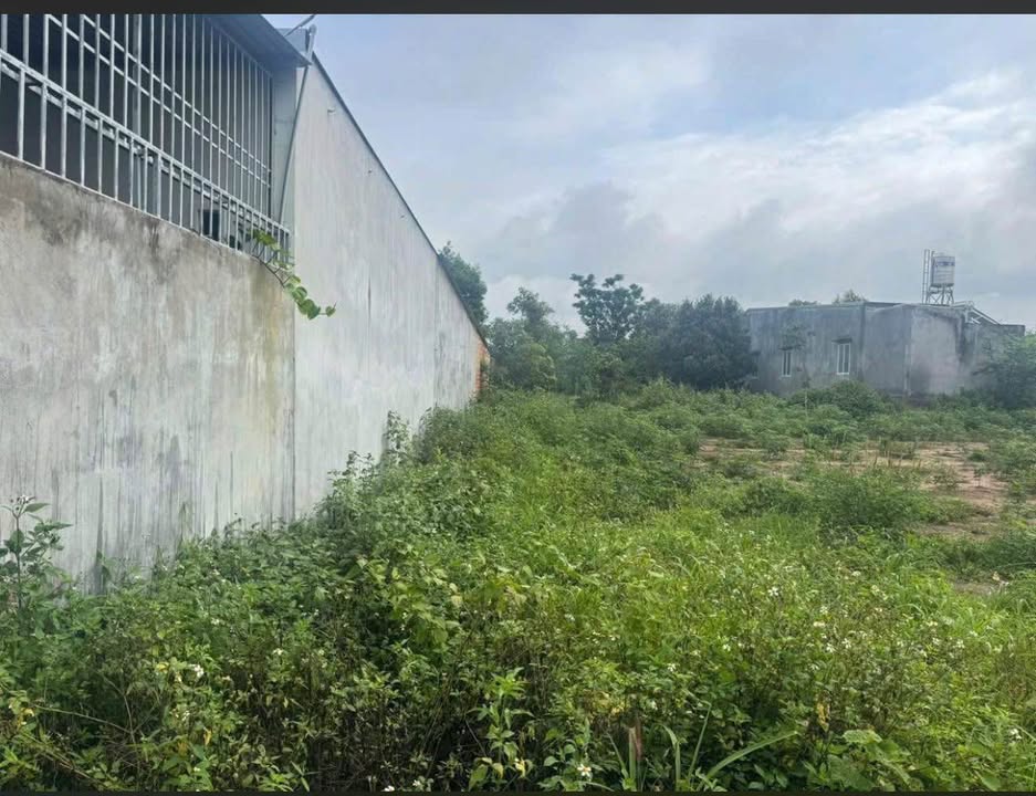 Đất thổ cư chính chủ tại thôn Kon Rờ Bàng, TP. Kon Tum 290m² - Vị trí đẹp, giá tốt!