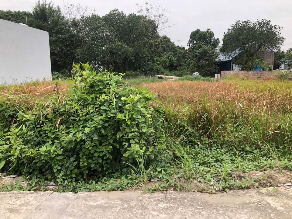 Đất thổ cư Liễu Nha, Nam Định 112m² giá 1 tỷ - Sổ đỏ chính chủ, ô tô vào tận đất!