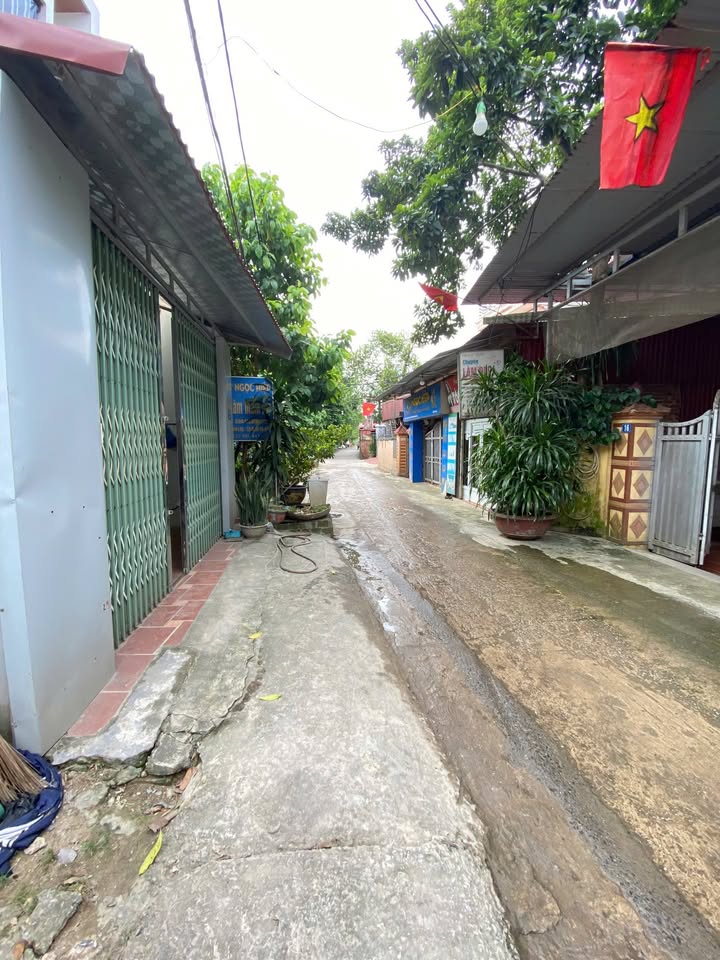 Đất nền Bình An, Sóc Sơn 112m² giá chỉ 2x triệu/m² - Cơ hội đầu tư hấp dẫn!