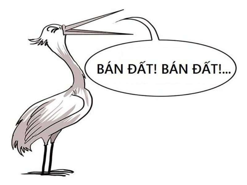 Đất nền tái định cư Giếng Đáy Hạ Long 50m² giá chỉ 1.1 tỷ - Cơ hội đầu tư hấp dẫn!