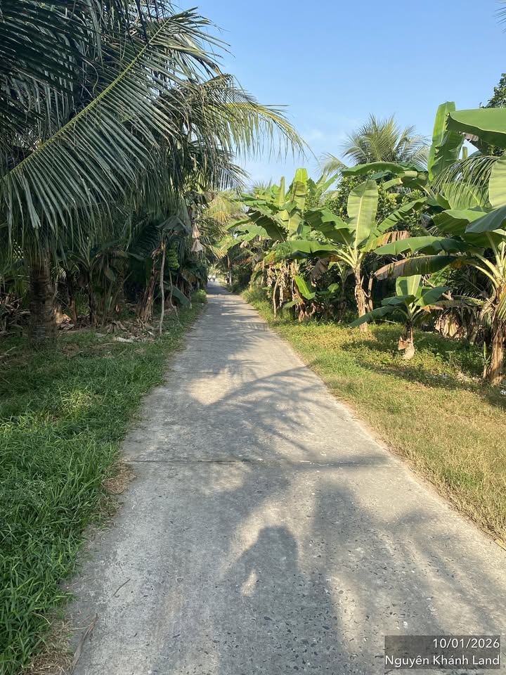 Đất nền Phường Phú Tân Bến Tre 1000m² giá 1 tỷ - Cơ hội đầu tư hấp dẫn!