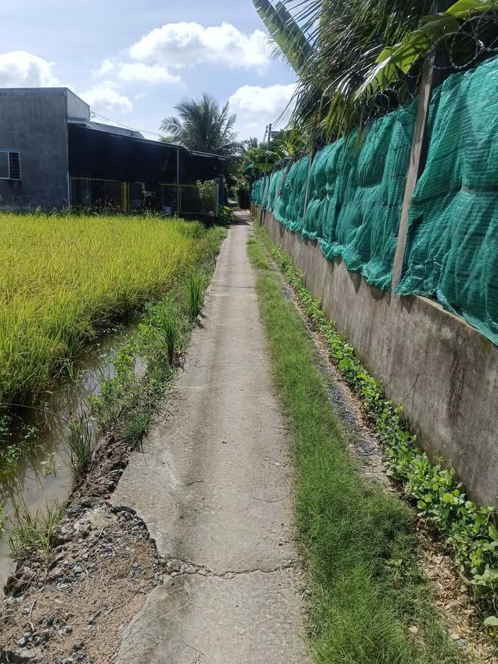 Đất nền 1800m² tại Ấp 2, Long An chỉ 750 triệu - Cơ hội đầu tư tuyệt vời!