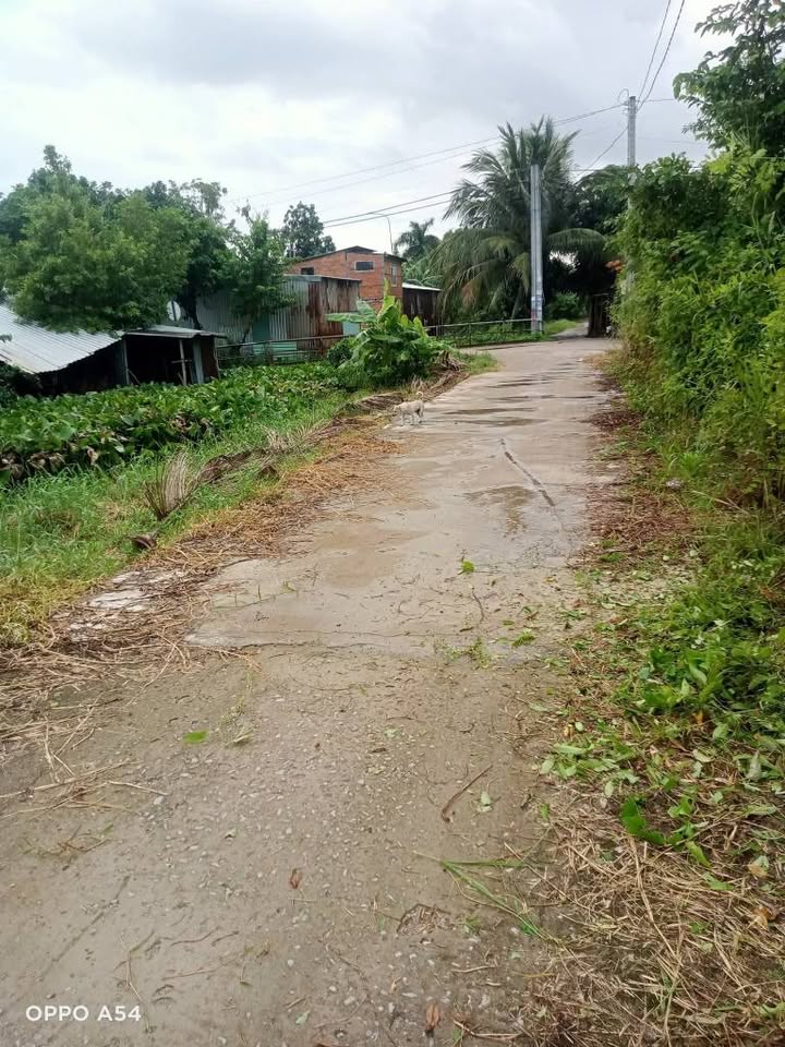 Nhà vườn 318m² tại đường Hồ Văn Huê, Rạch Giá - Giá chỉ 1.3 tỷ, thương lượng!