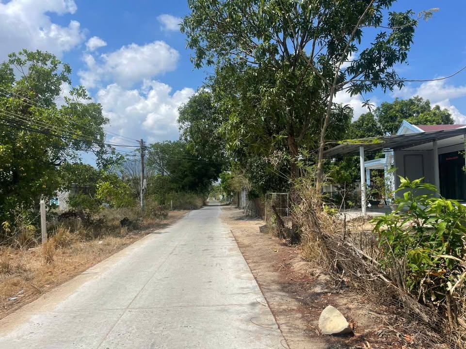 Đất thổ cư Cam An Bắc 273m² giá 1,4 tỷ - Cơ hội đầu tư tuyệt vời!