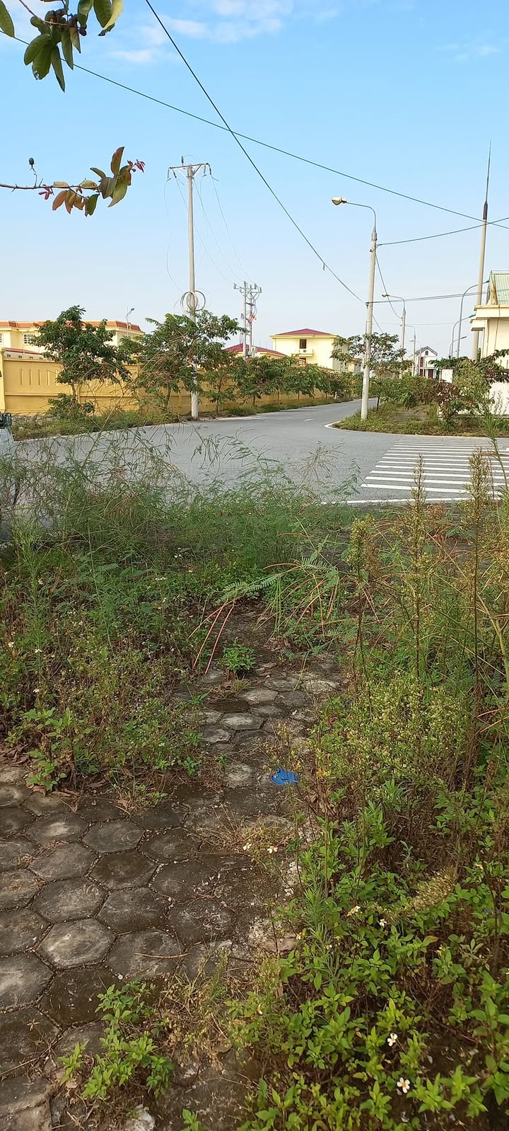 Đất nền chính chủ tại khu đô thị TTGôi, huyện Giao Thủy, 100m² - Cơ hội đầu tư hấp dẫn!