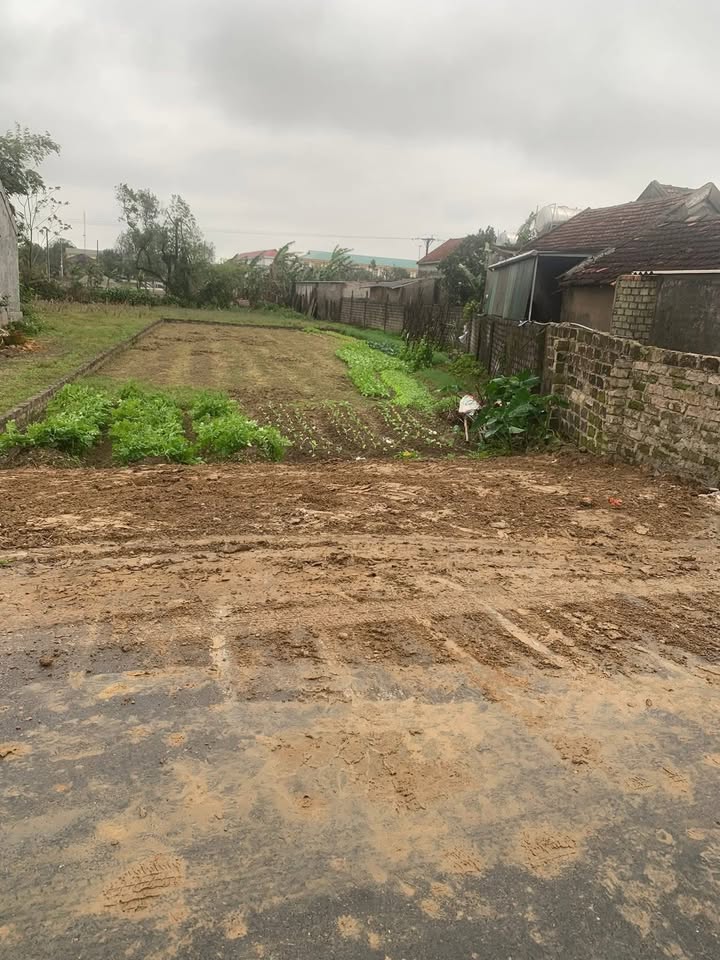 Đất ở Nghi Xá, Vinh 346.3m² - Sổ đỏ chính chủ, vị trí đẹp