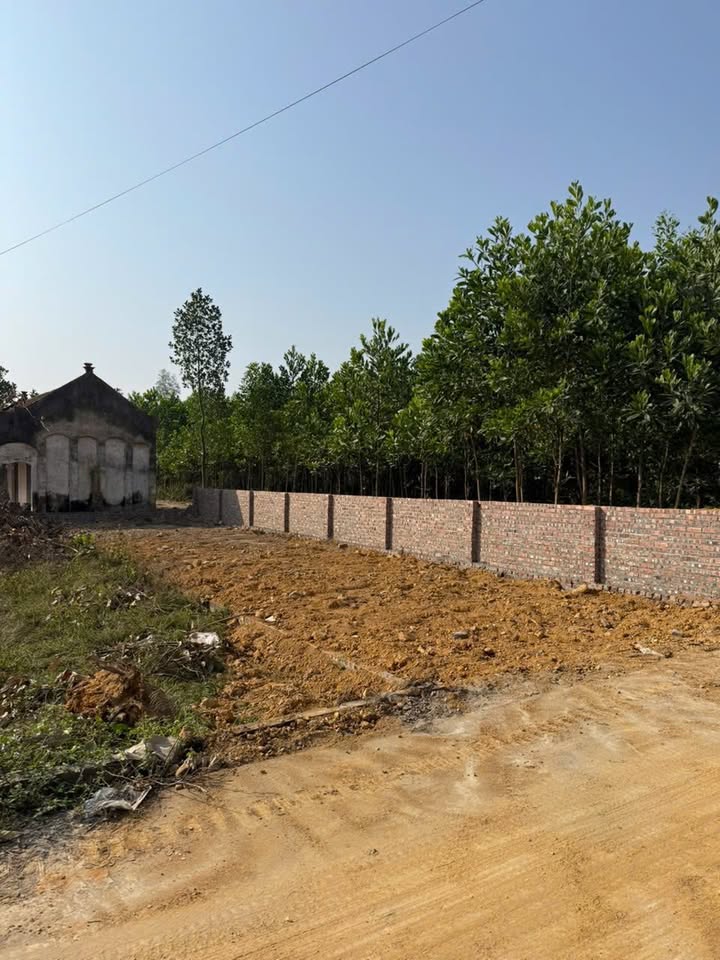 Đất nền Lương Đình, Trung Giã 110m² giá 1.2 tỷ - Sổ đỏ chính chủ ngay!