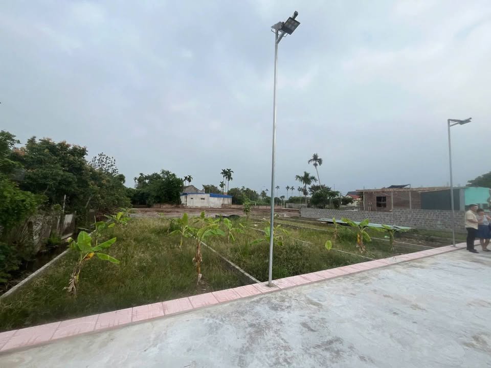 Đất thổ cư 70m² xã Bát Trang, An Lão - Giá 850 triệu, đầu tư sinh lời!