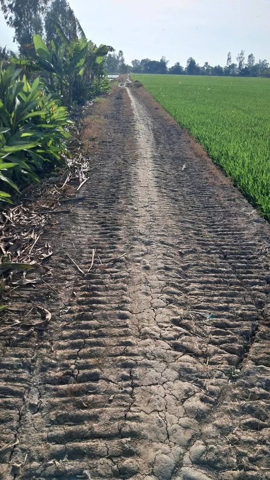 Đất nền 18 công Định Thành, Thoại Sơn 32.4 tỷ - Mặt tiền kênh, gần lộ nhựa!