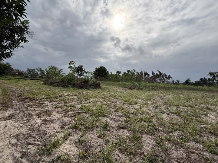 Đất nền Cát Hanh, Phù Cát 2000m² giá chỉ 1 tỷ - Cơ hội đầu tư tuyệt vời!