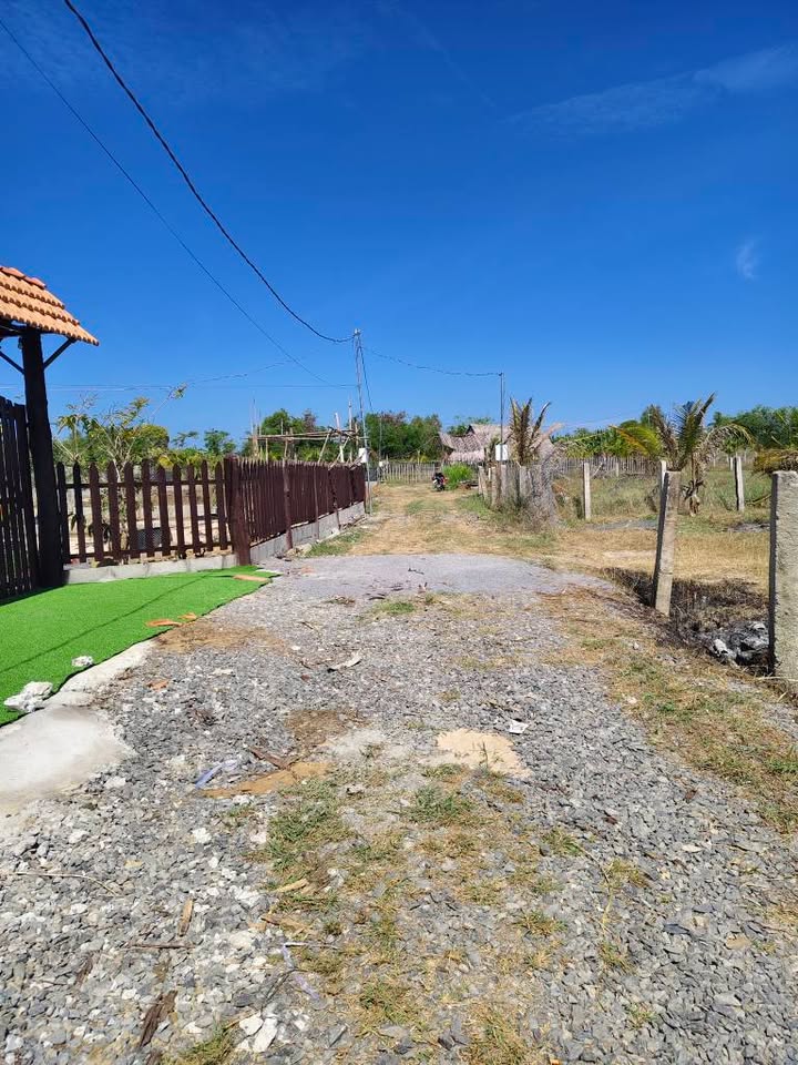 Đất nền thổ cư 743m² xã Hàm Chính - Giá chỉ 590 triệu, đầu tư sinh lời!