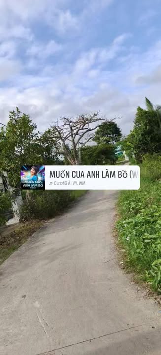 Đất nền hẻm Mỹ Hảo, Bạc Liêu 490m² giá 810 triệu - Tiềm năng sinh lời cao!