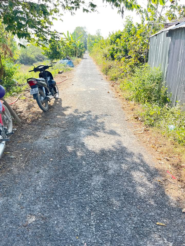 Đất ruộng lúa 2 vụ Tân Phước 14.000m² giá 16.8 tỷ - Cơ hội đầu tư tuyệt vời!