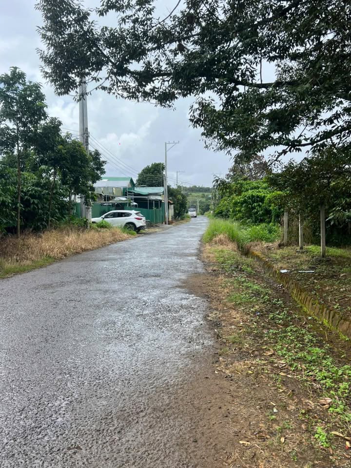 Đất nền hẻm Tố Hữu, phường Blao 800m² giá 176 tỷ - Mặt tiền đường rộng rãi