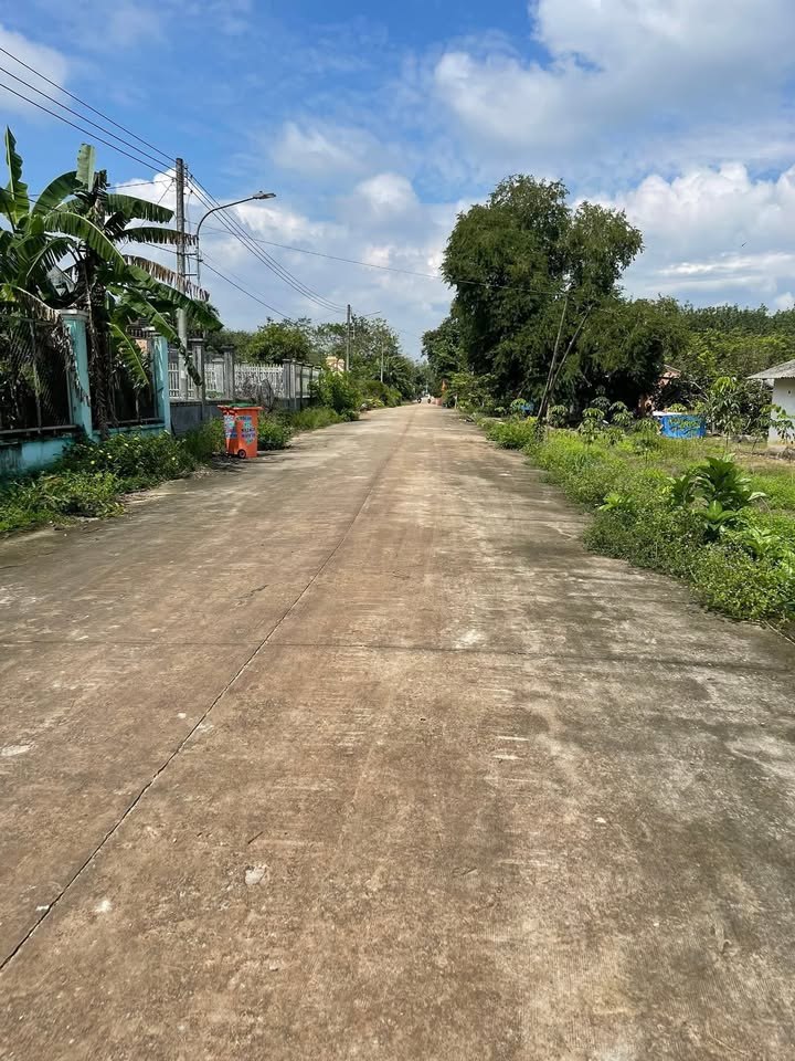 Đất nông nghiệp tại xã Tân Long, huyện Phú Giáo 10,000m² giá 6 tỷ - Cơ hội đầu tư lý tưởng!