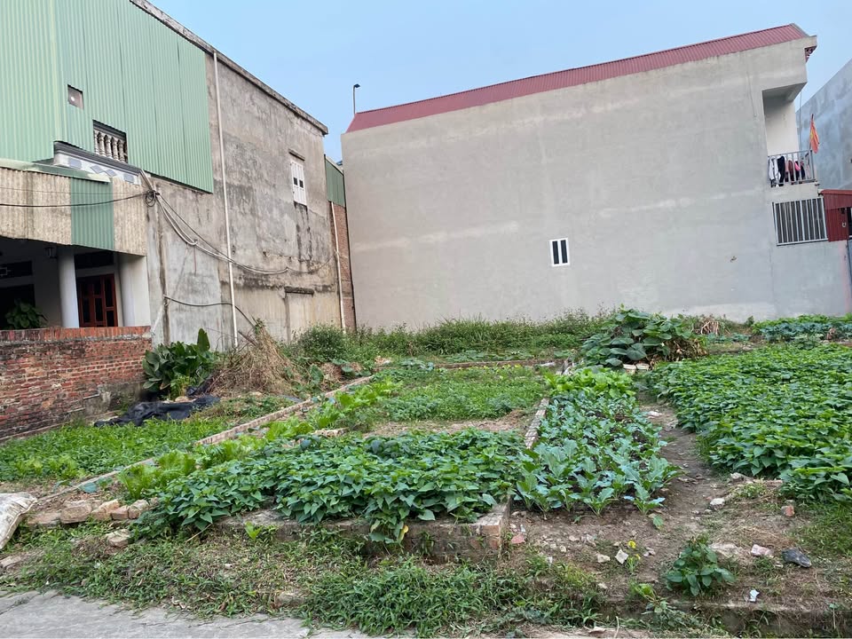 Đất nền Đông Lai, Sóc Sơn 40m² giá thương lượng - Tiềm năng tăng giá lớn!