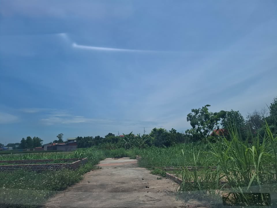 Đất Minh Trí, Sóc Sơn, Hà Nội 87m² giá 1.5 tỷ - Ô tô vào tận đất!