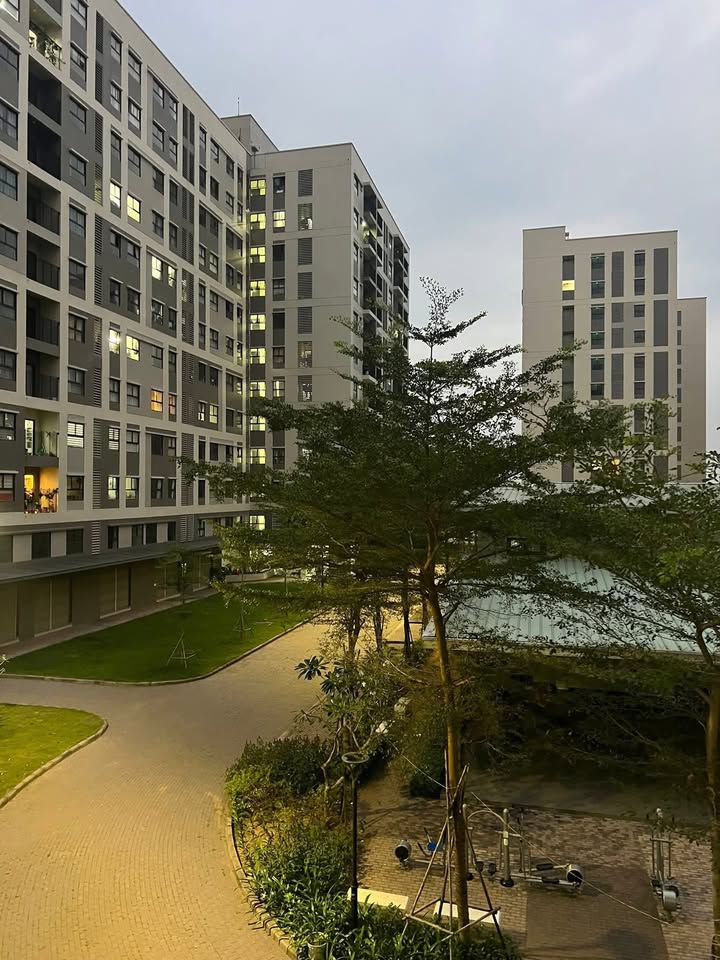 Cho thuê căn hộ Ehome Southgate Bến Lức 51m² - Nội thất đầy đủ, chỉ việc vào ở!