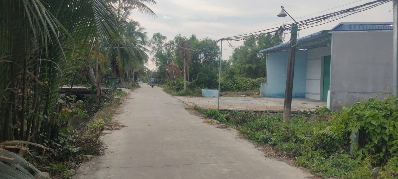 Đất nền xã Lương Hòa, Long An 4.900m² giá 7.7 tỷ - Đầu tư sinh lời ngay!