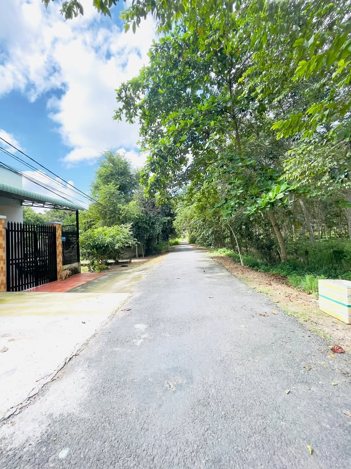 Đất nền An Phú Củ Chi 666m² - Pháp lý thổ cư, xây dựng tự do!